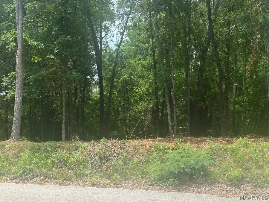 232 Nixon Road, Millbrook, AL 36022 - Image #3