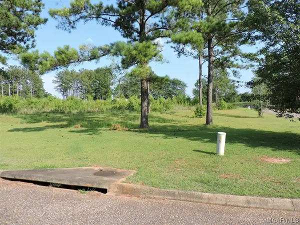 Lot G2 Longleaf Lane, Greenville, AL 36037