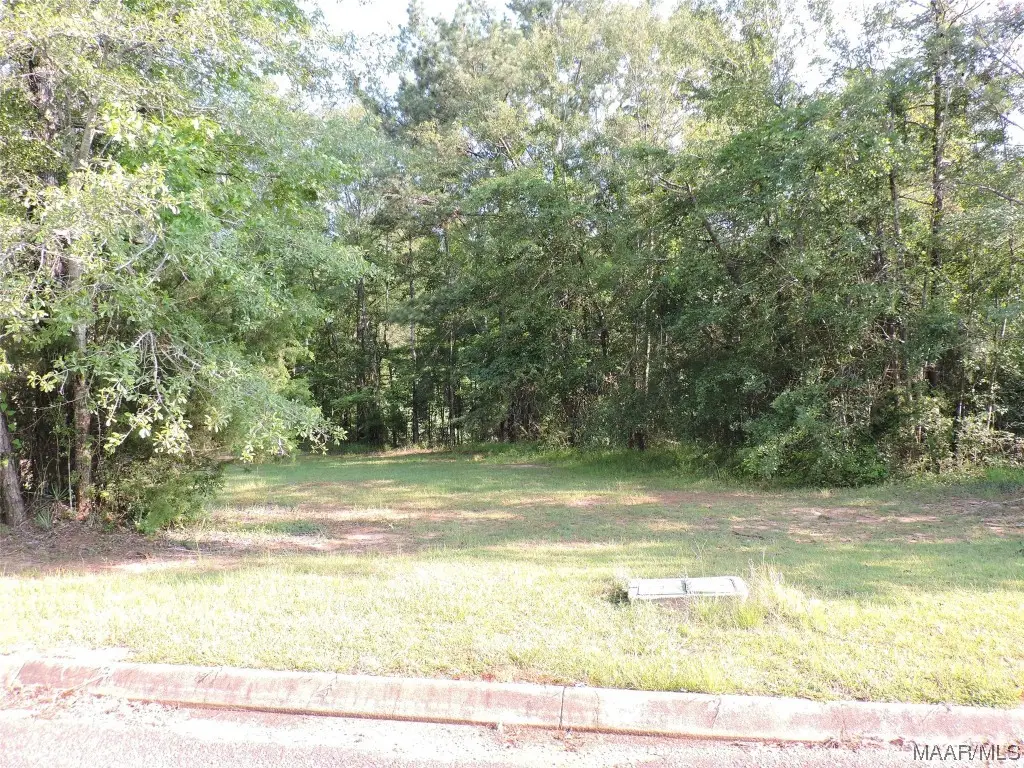 Lot 3B White Oak Way, Greenville, AL 36037 - Image #1