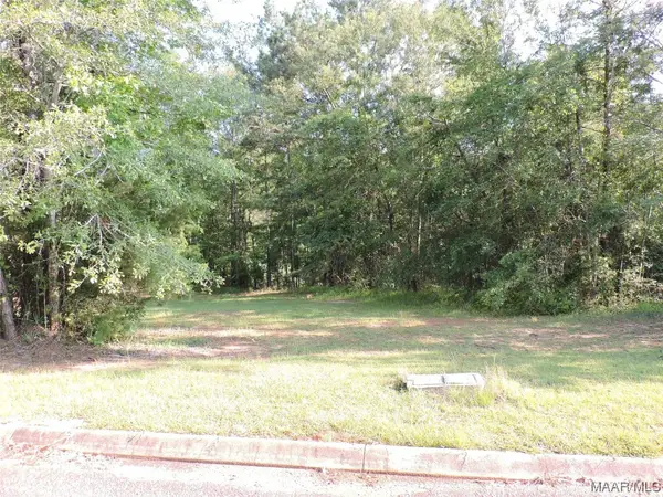 Lot 3B White Oak Way, Greenville, AL 36037
