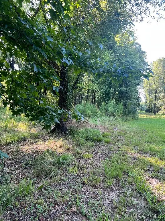 1506 Barganier Road, Cecil, AL 36013 - Image #3