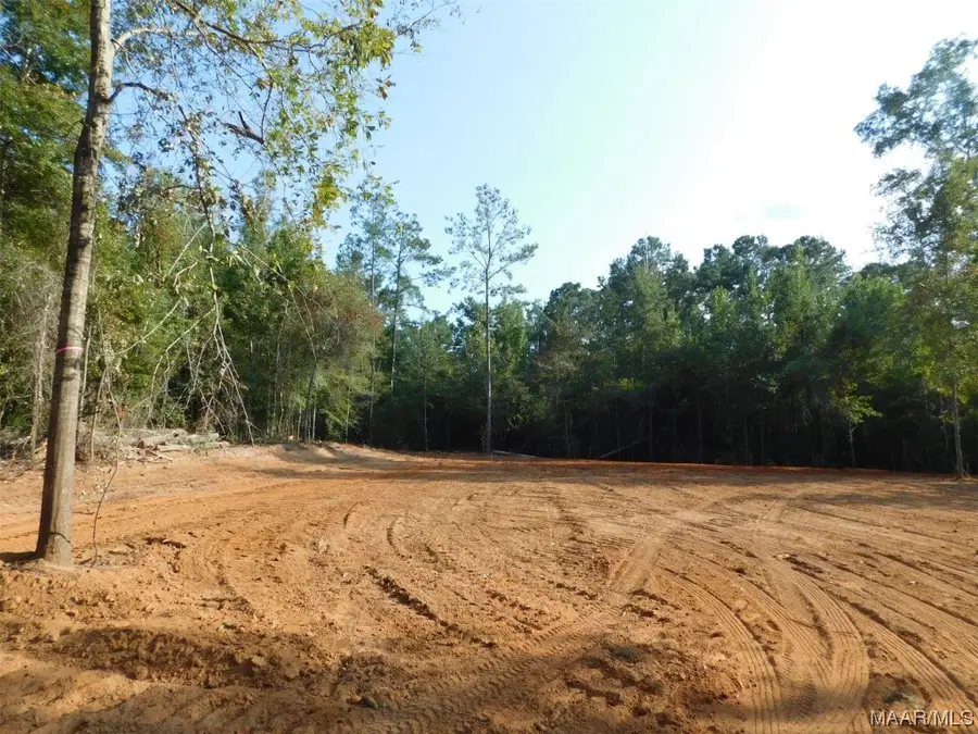 0 Terrell Street, Greenville, AL 36037 - Image #2
