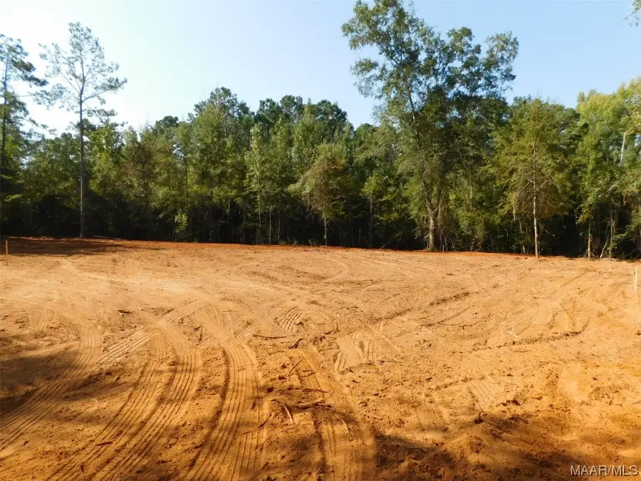 0 Terrell Street, Greenville, AL 36037 - Image #3
