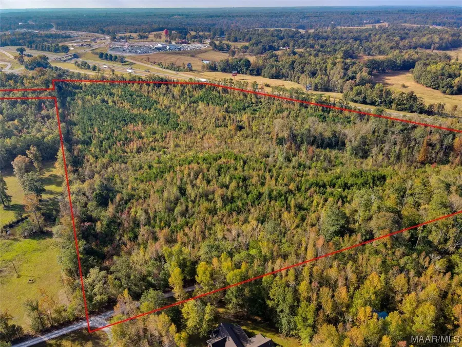 0 Highway 145, Clanton, AL 35046 - Image #2