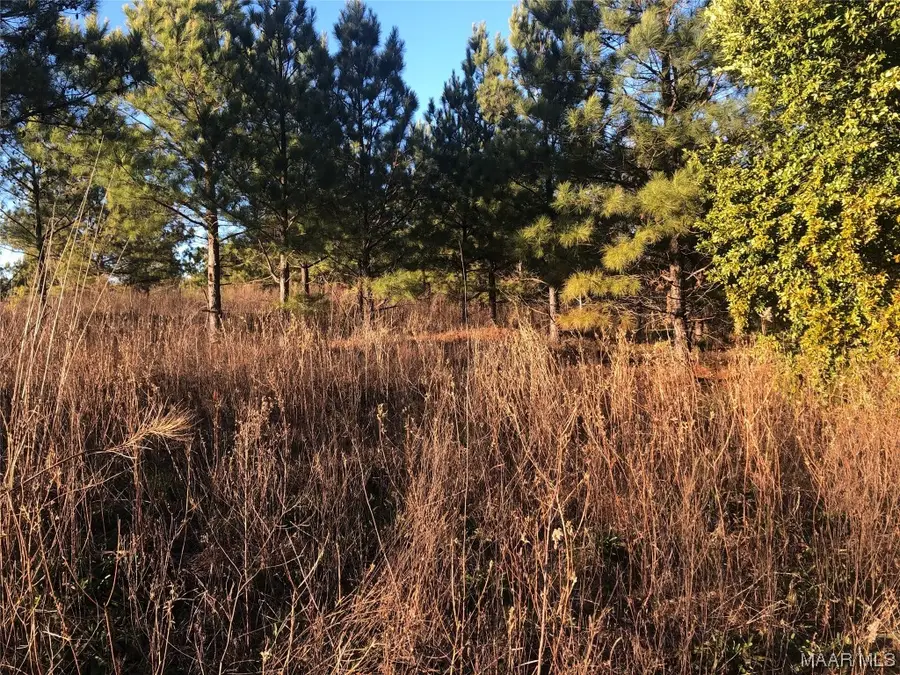 6127 County Road 24, Verbena, AL 36091 - Image #3