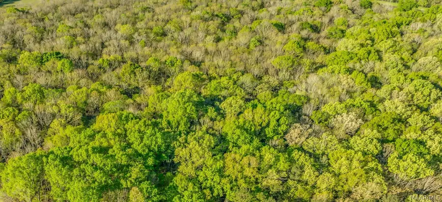 Lot 4 Moore Drive, Cecil, AL 36013 - Image #2