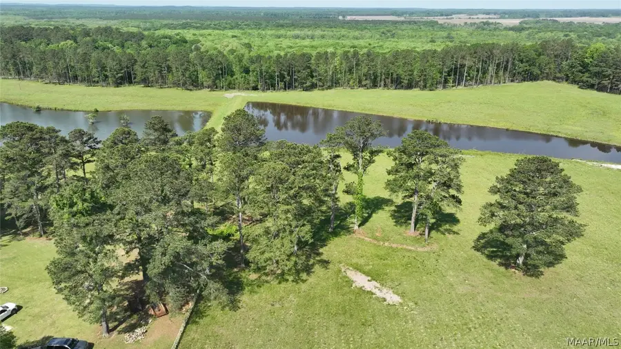 887 Highway 239, Banks, AL 36016 - Image #3