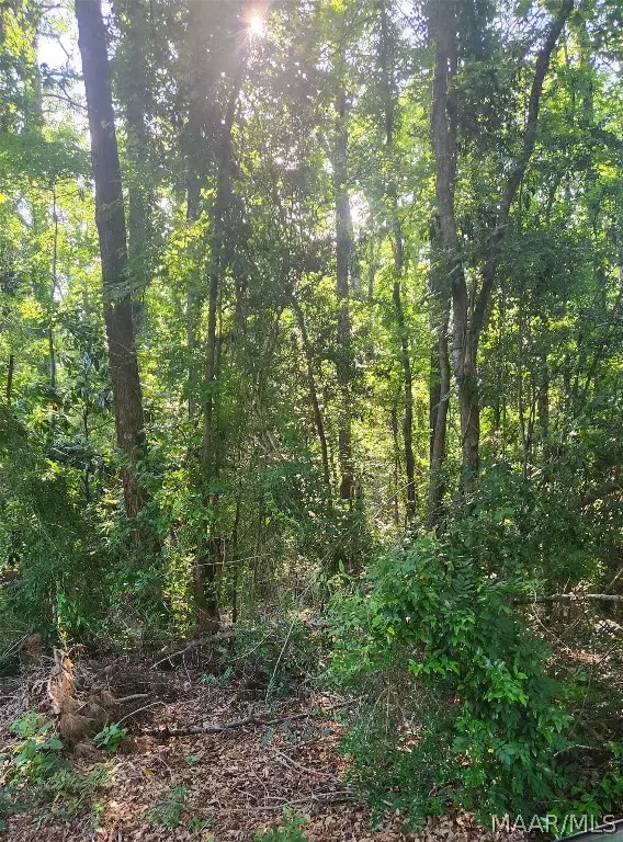 000 Watkins Street, Tuskegee, AL 36083