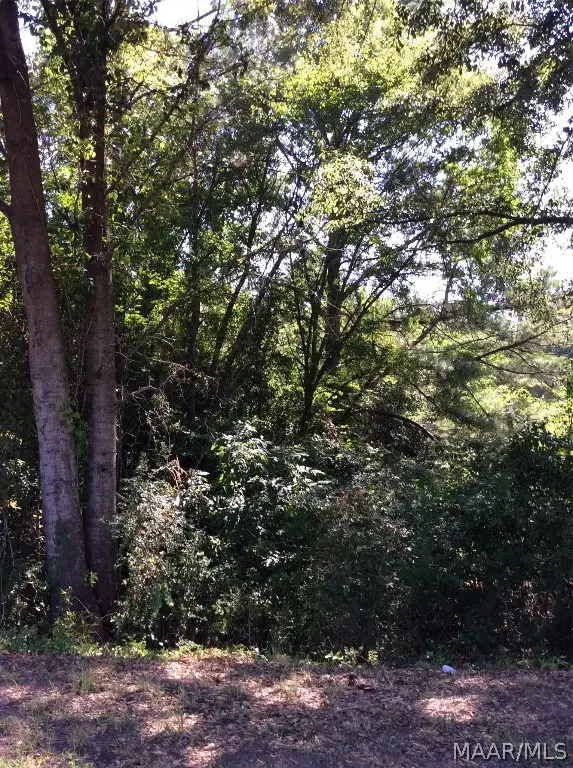 000 Chanault Drive N, Tuskegee, AL 36083 - Image #1