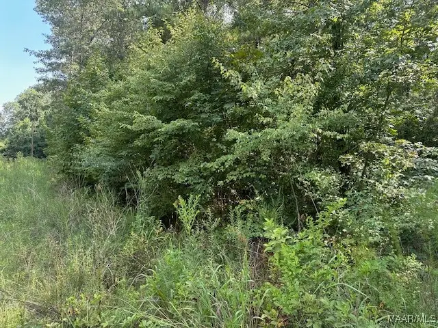 362 Byrdway Drive, Lowndesboro, AL 36752 - Image #3