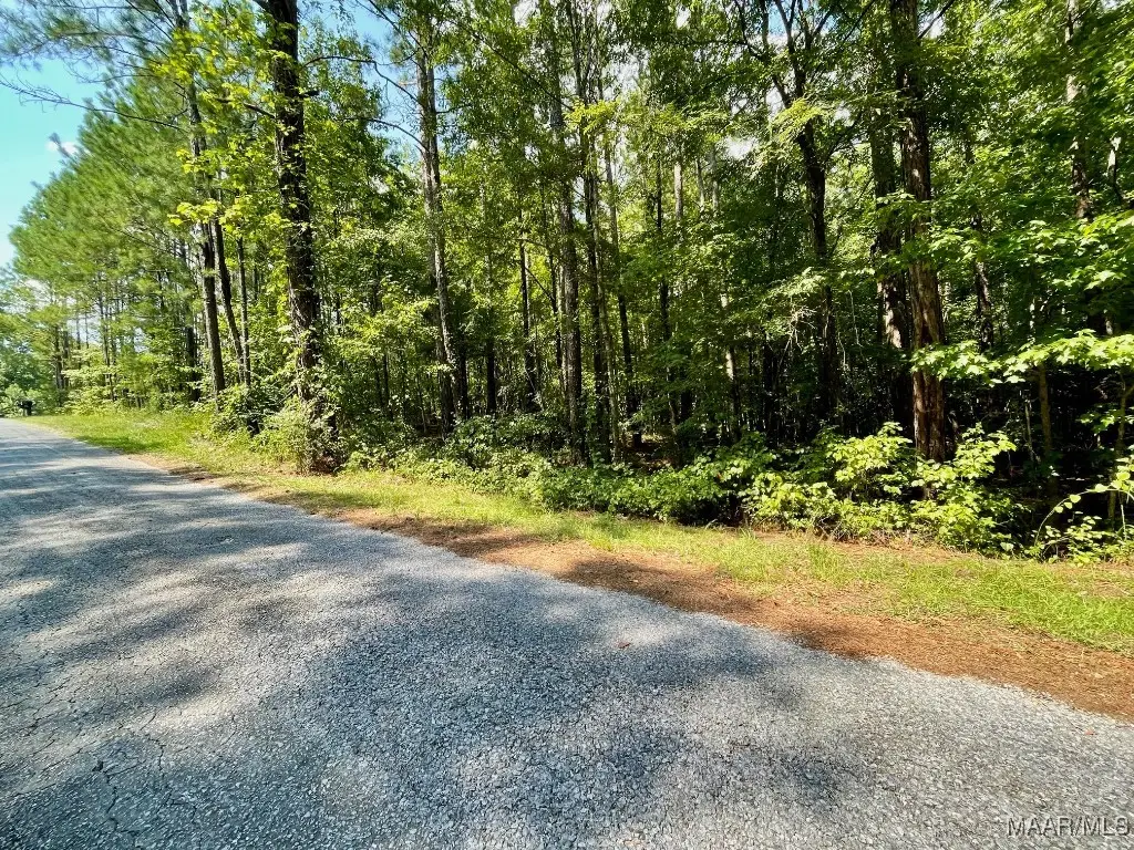 Lot 23 Cotton Lane, Alexander City, AL 35010 - Image #1