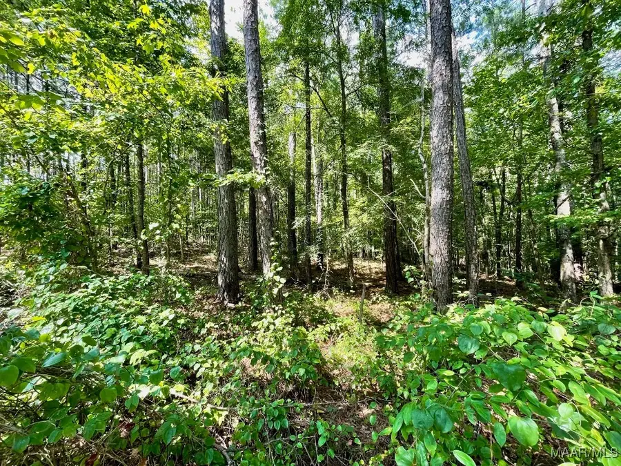 Lot 23 Cotton Lane, Alexander City, AL 35010 - Image #2