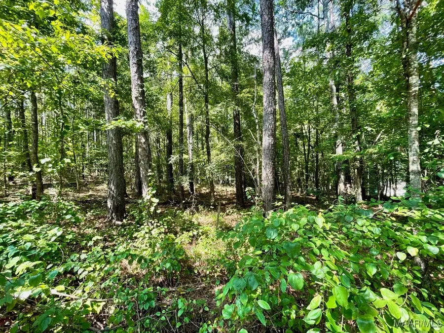 Lot 23 Cotton Lane, Alexander City, AL 35010 - Image #3
