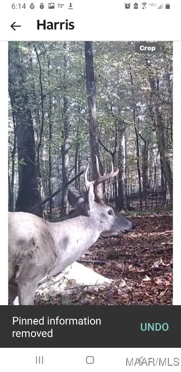 173 Brittany Drive S, Millbrook, AL 36054 - Image #2