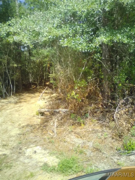 Lot 25 Lakeshore Drive, Tuskegee, AL 36083 - #2