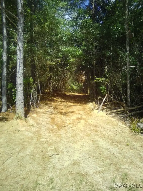 Lot 19 Lakeshore Drive E, Tuskegee, AL 36083