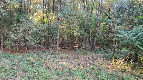 Lot 15 Lakeshore Drive E, Tuskegee, AL 36083