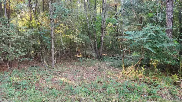 Lot 16 Lakeshore Drive E, Tuskegee, AL 36083