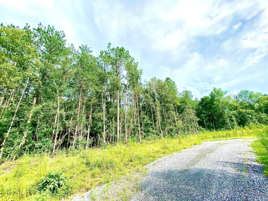 230 Merrill Lane, Deatsville, AL 36022 - Image #3