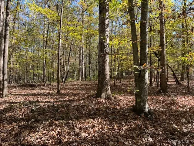 0 Dorough Road, Columbiana, AL 35051 - Image #1