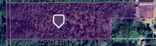 0000 Mobile Highway, Letohatchee, AL 36047 - Image #3