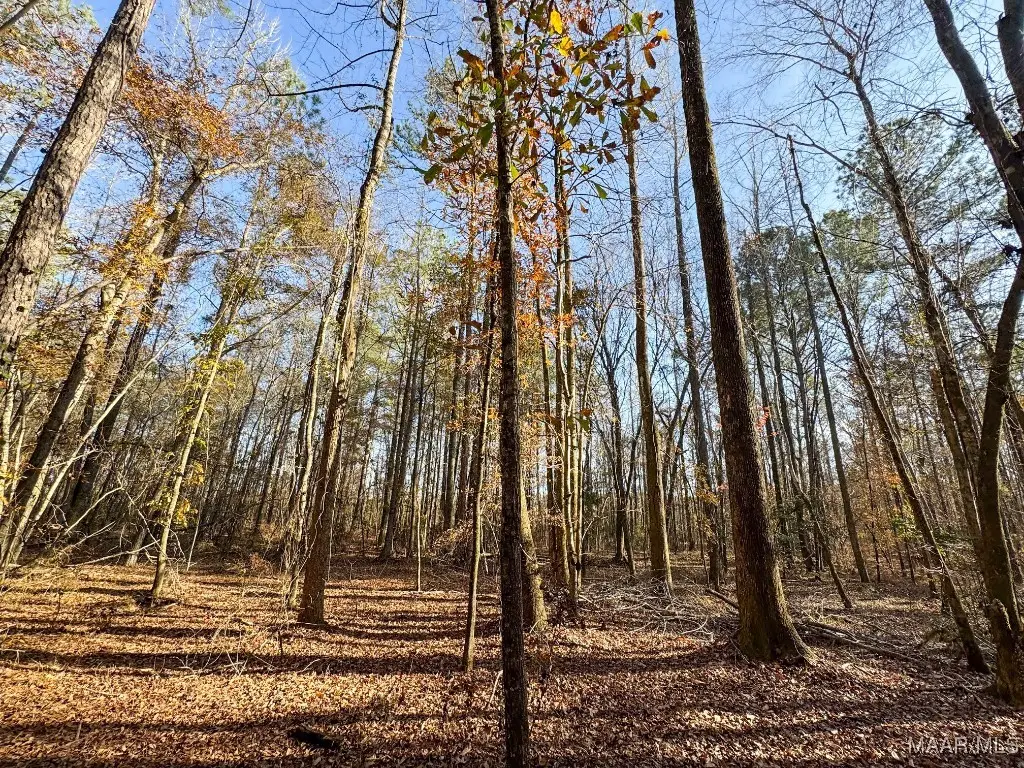 1 Jug Factory Road, Redland, AL 36093 - Image #1