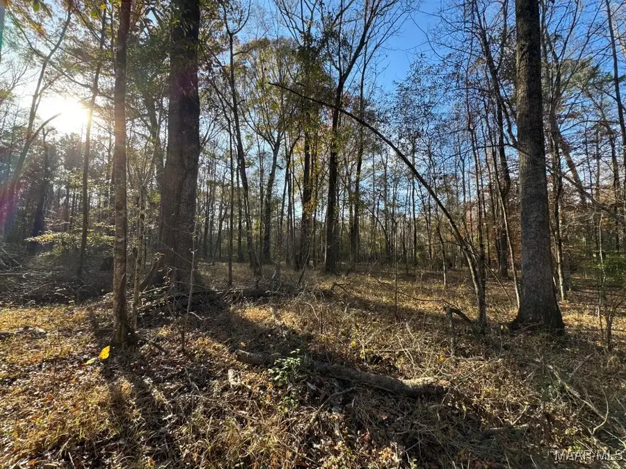 1 Jug Factory Road, Redland, AL 36093 - Image #3