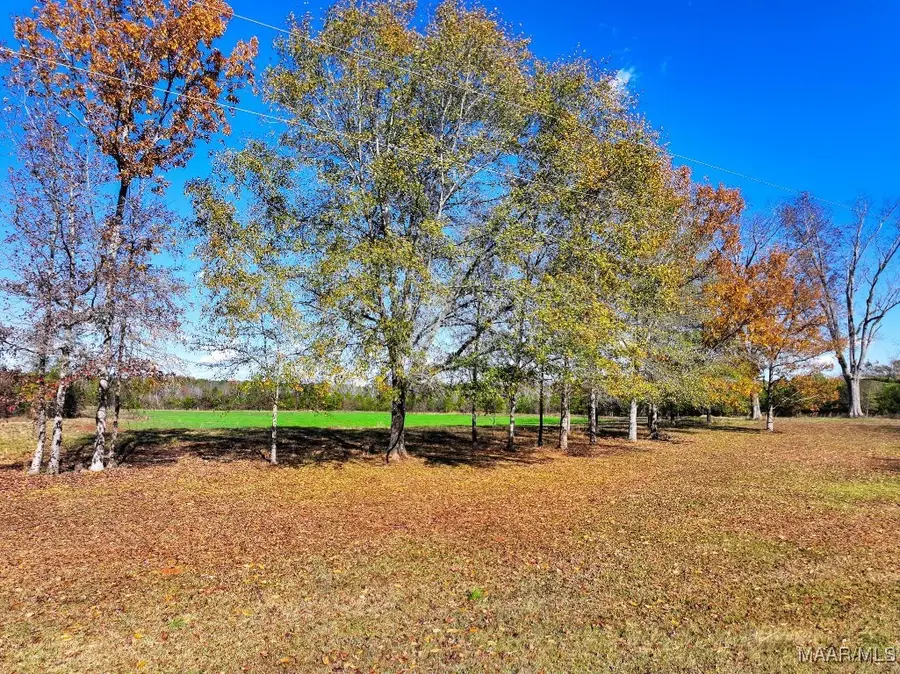 342 Mockingbird Road, Greensboro, AL 36744 - Image #3