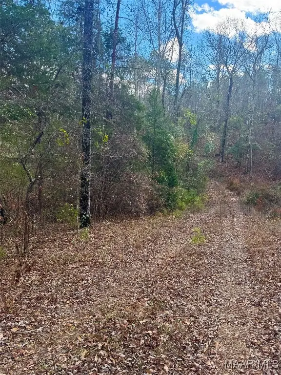 162 County Rd 20 Road E, Marbury, AL 36051 - Image #1