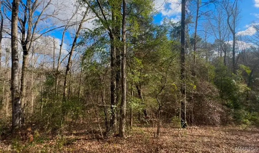 162 County Rd 20 Road E, Marbury, AL 36051 - Image #3