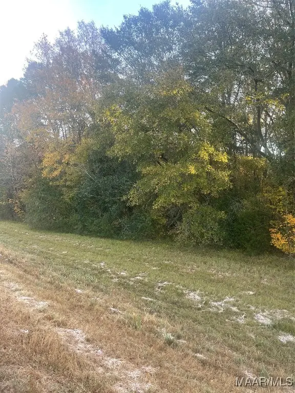 0 Marler Road, Pike Road, AL 36064 - Image #2