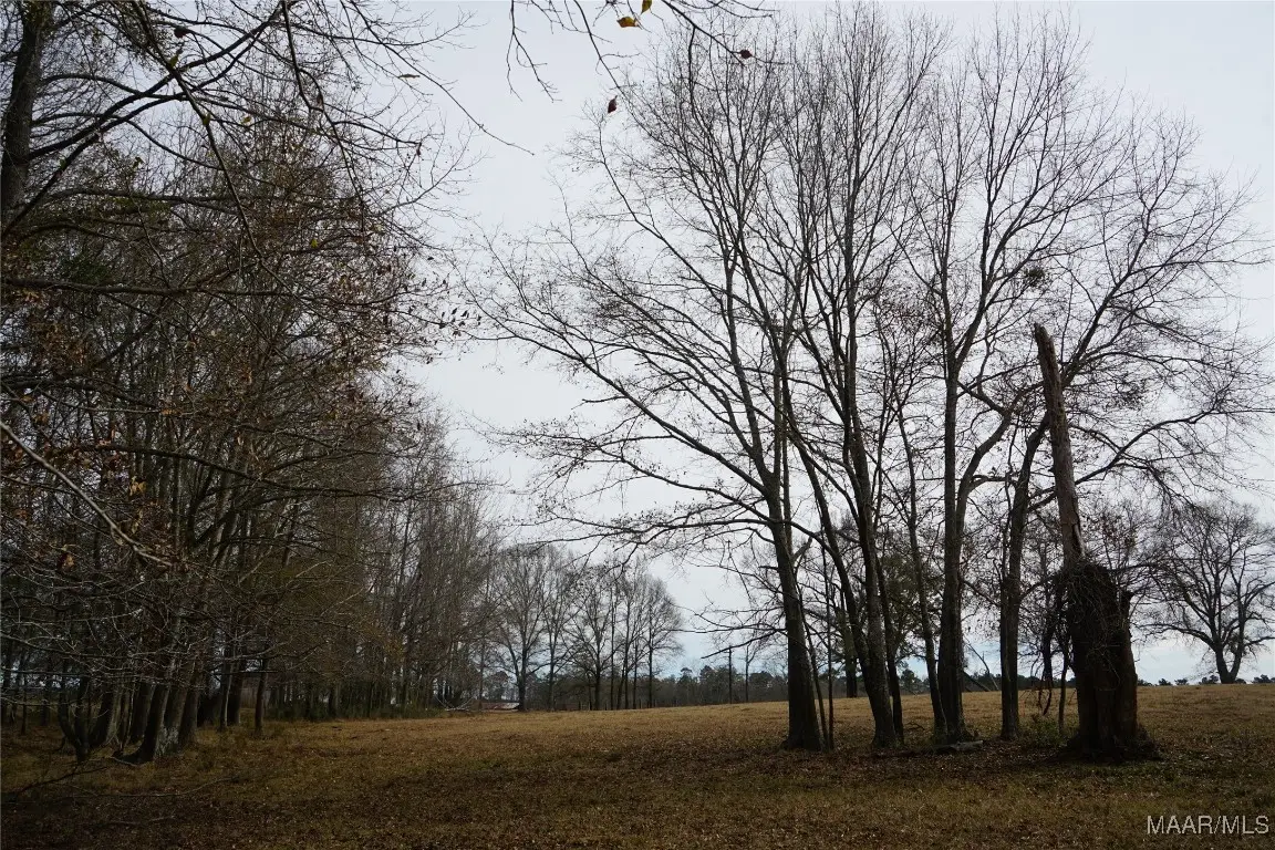 2434 Peake Road, Ramer, AL 36069 - Image #1