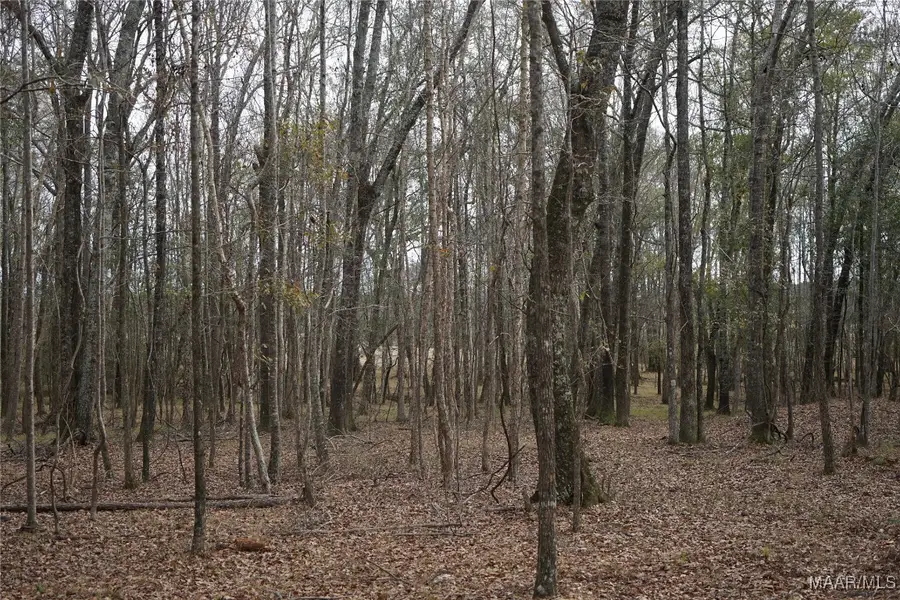 2434 Peake Road, Ramer, AL 36069 - Image #3