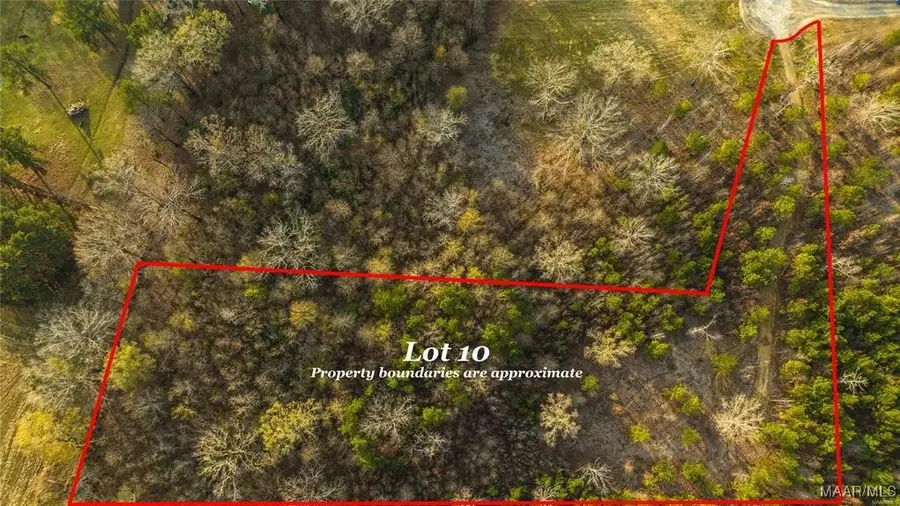 265 Crossing Lane, Pike Road, AL 36064 - Image #3