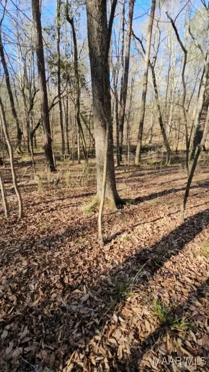 730 Fairliewood Drive, Wetumpka, AL 36093 - Image #1