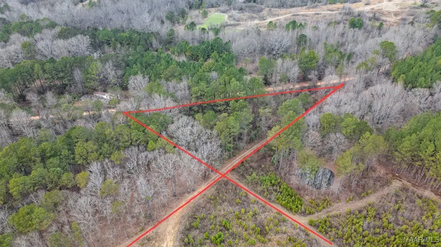 10 Muskogee Trail, Eclectic, AL 36024 - Image #2