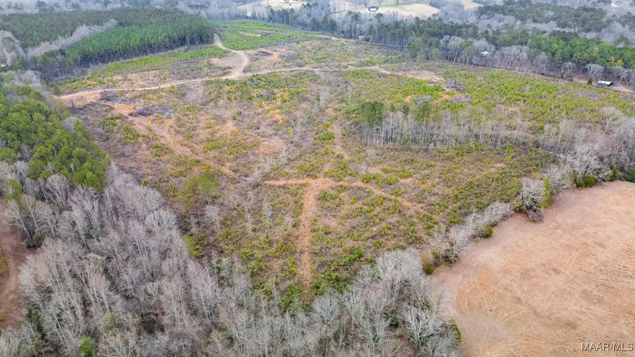 10 Muskogee Trail, Eclectic, AL 36024 - Image #3