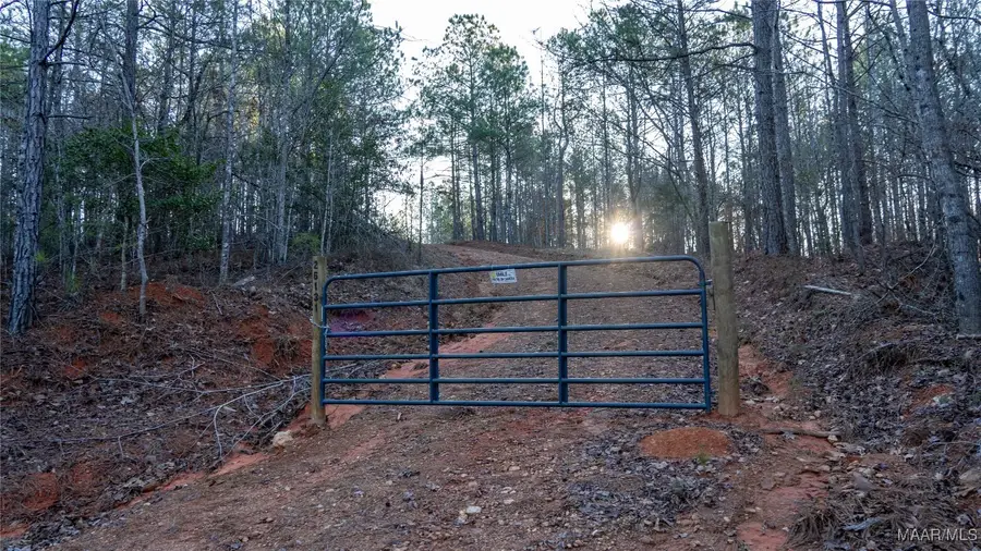 26131 Rockford Highway, Rockford, AL 35136 - Image #3