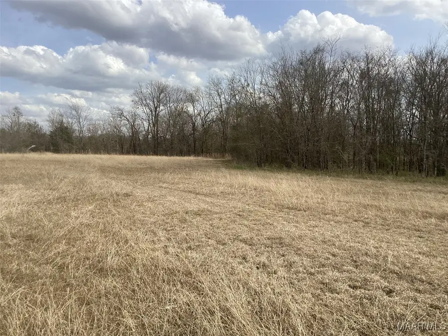 1435 Meriwether Road, Pike Road, AL 36064 - Image #2