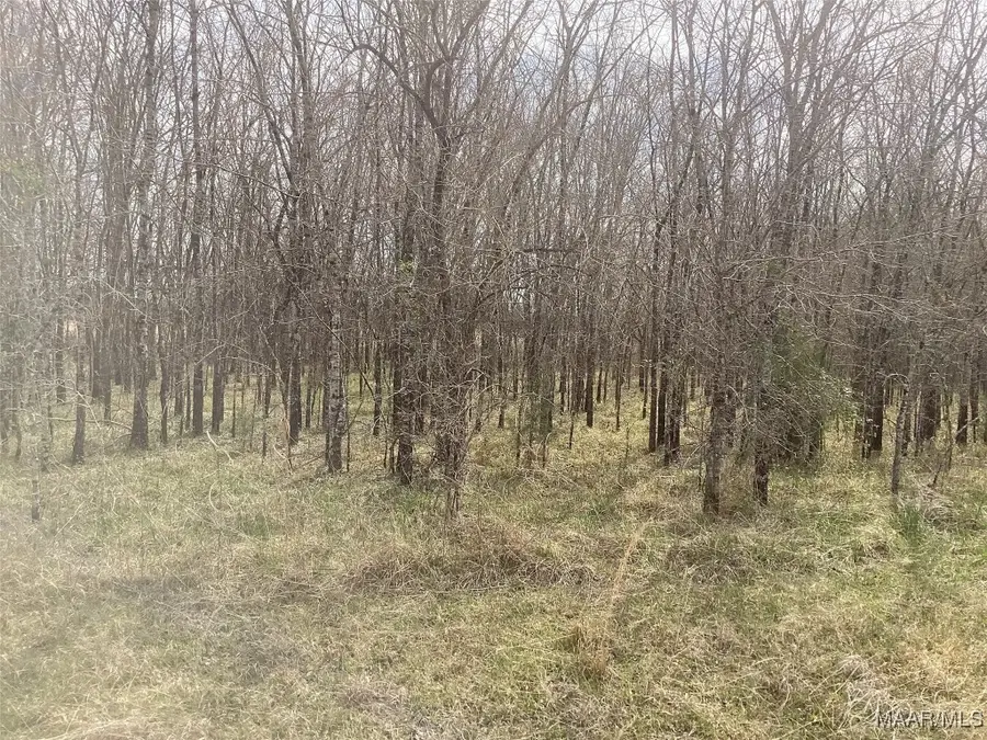 1435 Meriwether Road, Pike Road, AL 36064 - Image #3