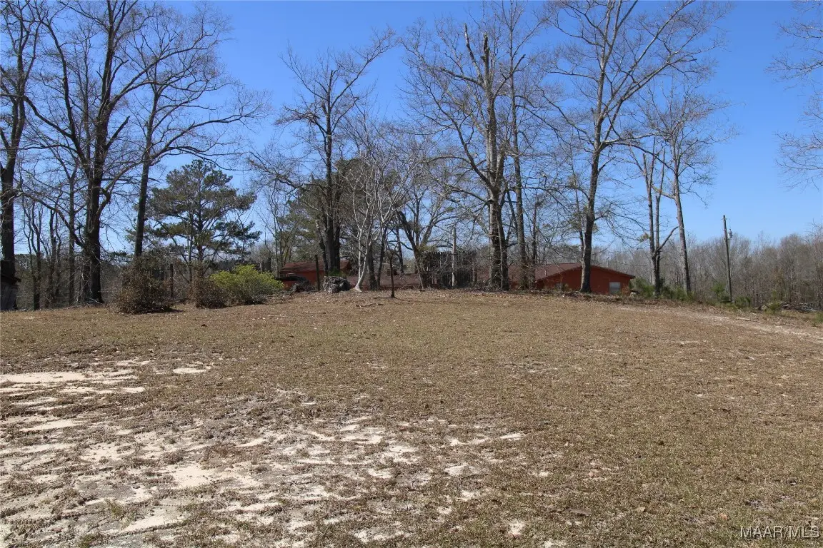 118 Widgeon Lane, Grady, AL 36036 - Image #1
