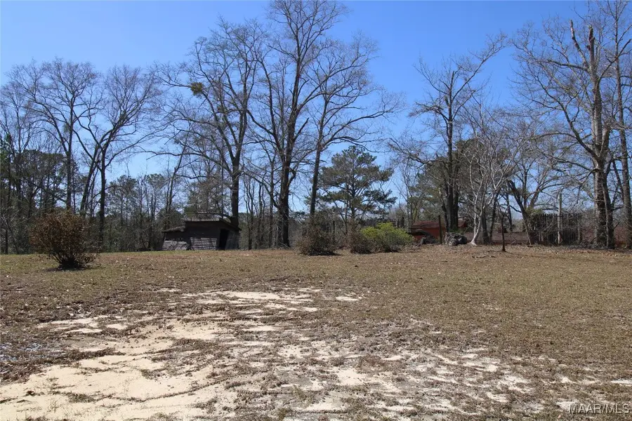 118 Widgeon Lane, Grady, AL 36036 - Image #2