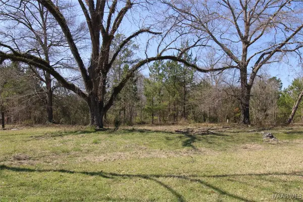 0 Toles Road #Parcel 2, Grady, AL 36036