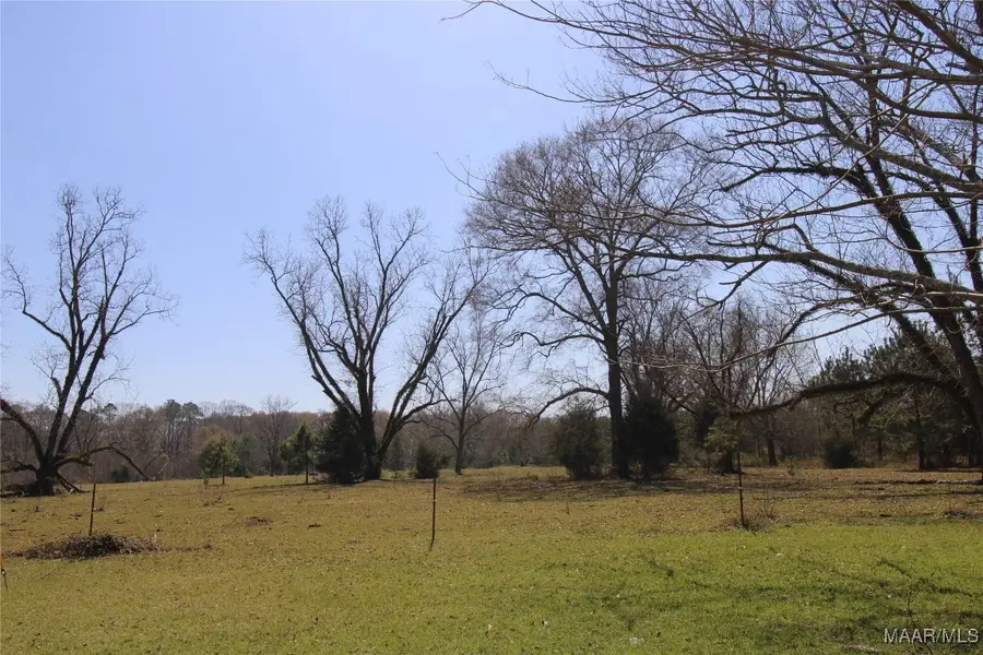 0 Toles Road #Parcel 2, Grady, AL 36036 - Image #2