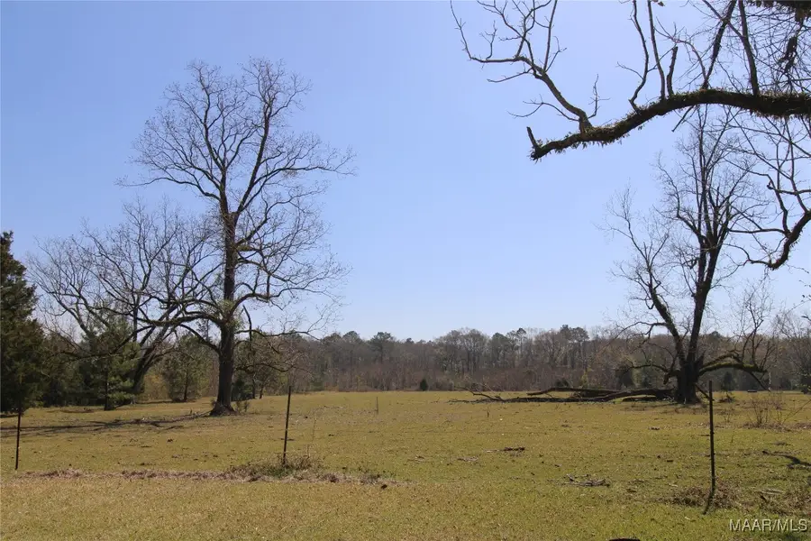 0 Toles Road #Parcel 2, Grady, AL 36036 - Image #3