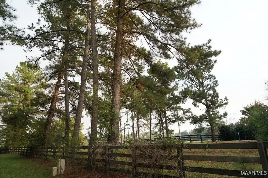 180 Winchester Trace, Mathews, AL 36052 - Image #2