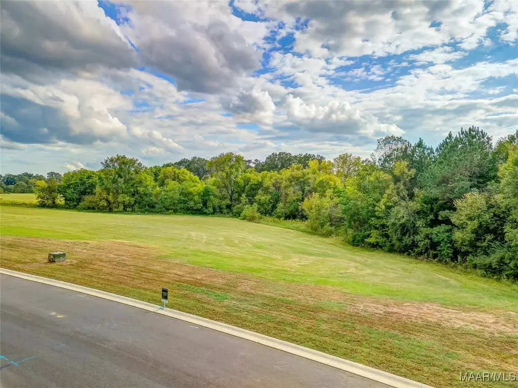 Lot 1 Hidden Oaks Avenue, Pike Road, AL 36064 - Image #1