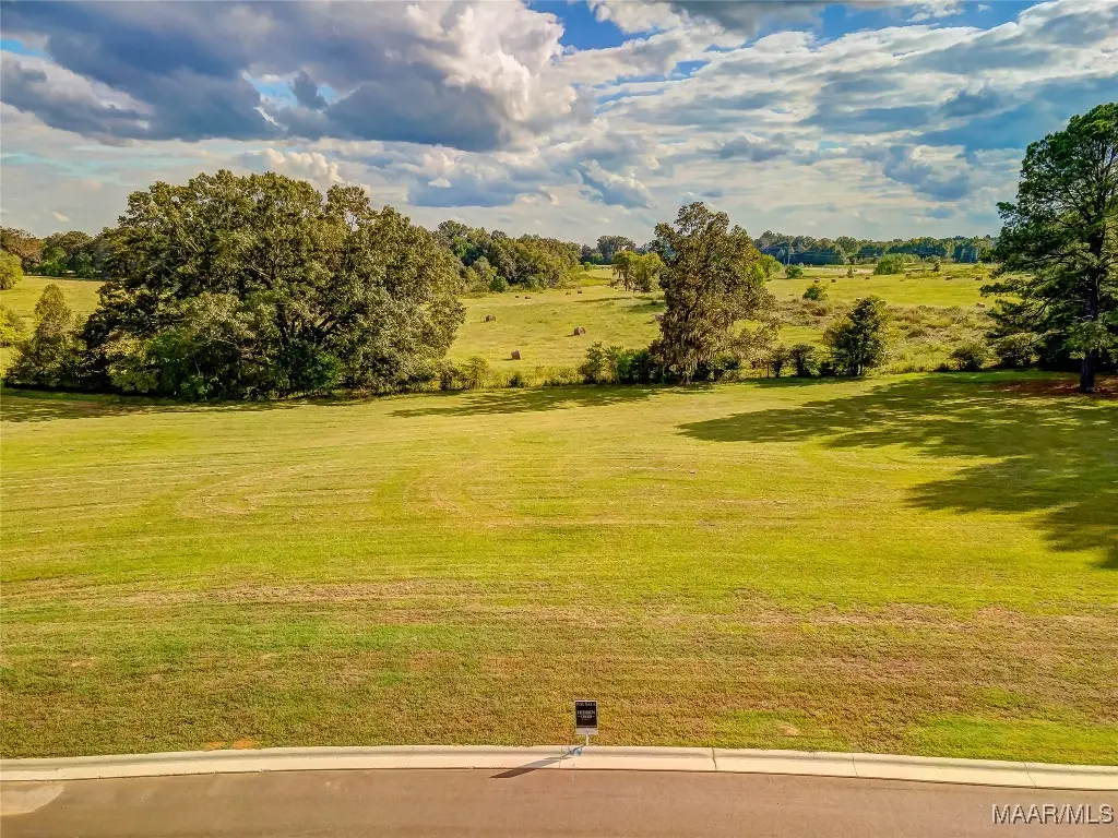 Lot 9 Hidden Oaks Avenue, Pike Road, AL 36064 - Image #1