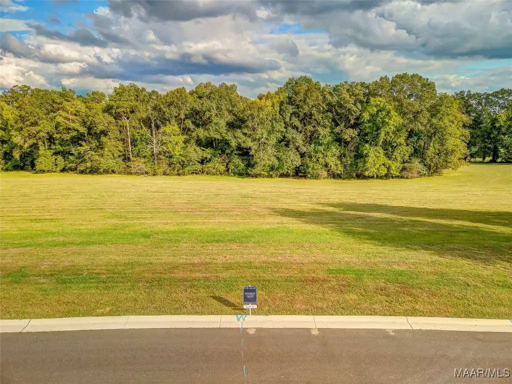 Lot 14 Hidden Oaks Avenue, Pike Road, AL 36064 - Image #1