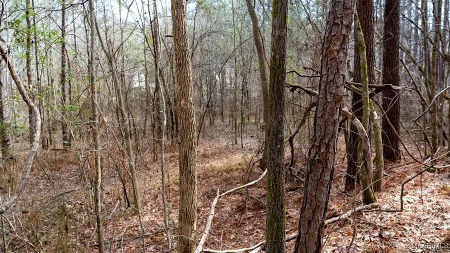 185 Dam Road, Wilsonville, AL 35186 - Image #2